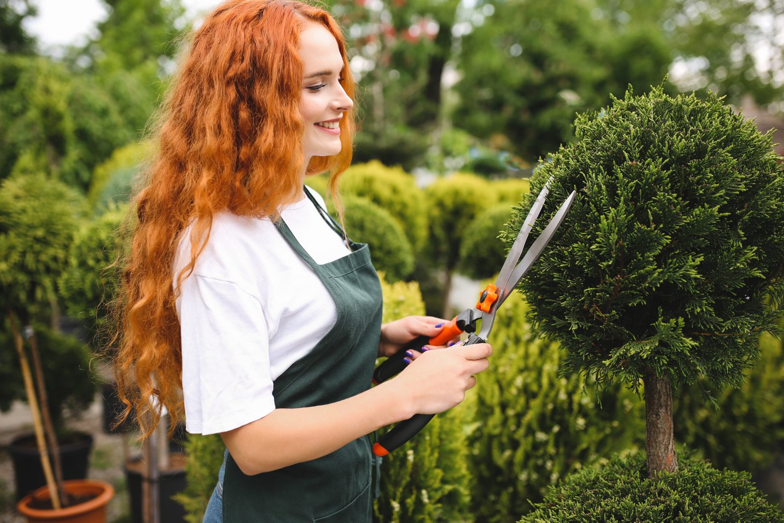 beautiful-smiling-lady-with-redhead-curly-hair-standing-apron-holding-big-garden-scissors-while-working-outdoors Beautiful smiling lady with redhead curly hair standing in apron and holding big garden scissors while working outdoors