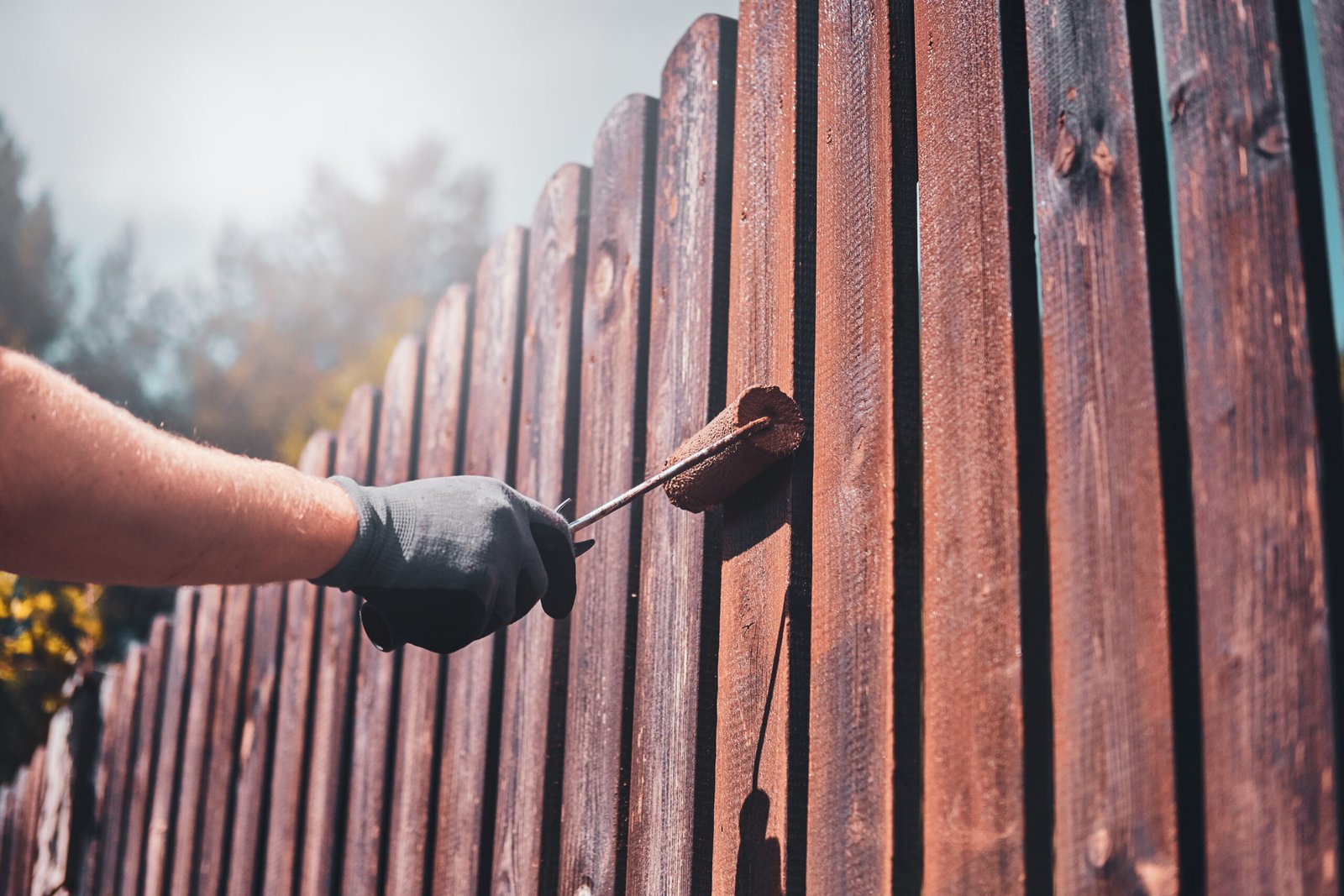 Diligent man is painting fence with brush Process of fence renovation at bright sunny day by man in protective gloves.